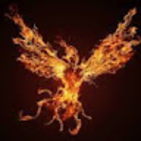 Meet your Posher, Isabella - Picture 1 of 1